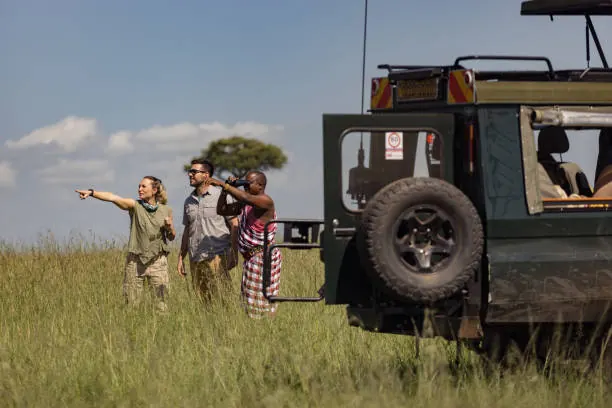 3 Days Luxury Ngorongoro and Tarangire Safari
