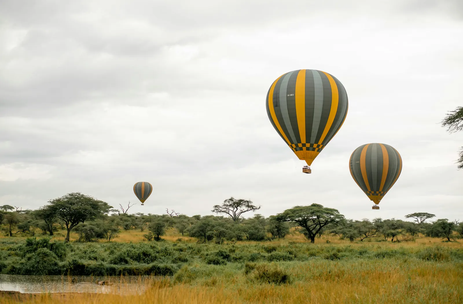 3 Days Serengeti and Ngorongoro Short Safari