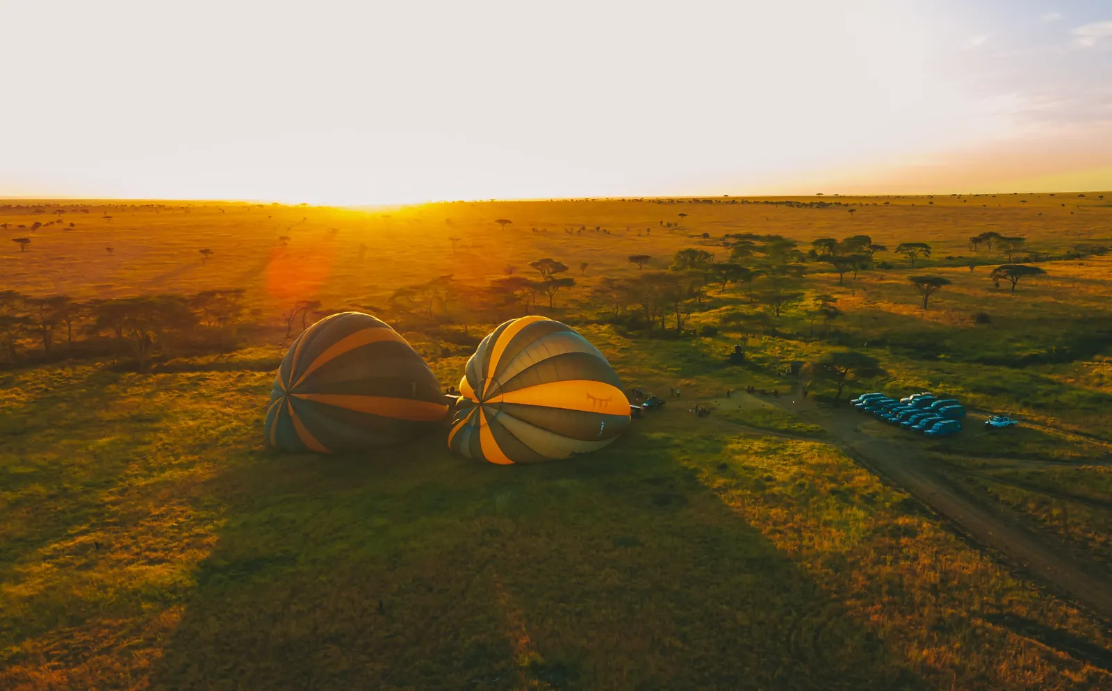 4 Days Tanzania Luxury Safari with Balloon Option