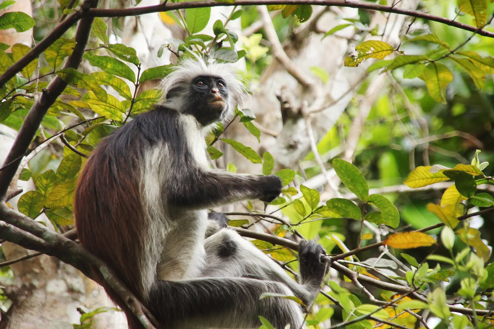 Tarangire National Park Travel Guide