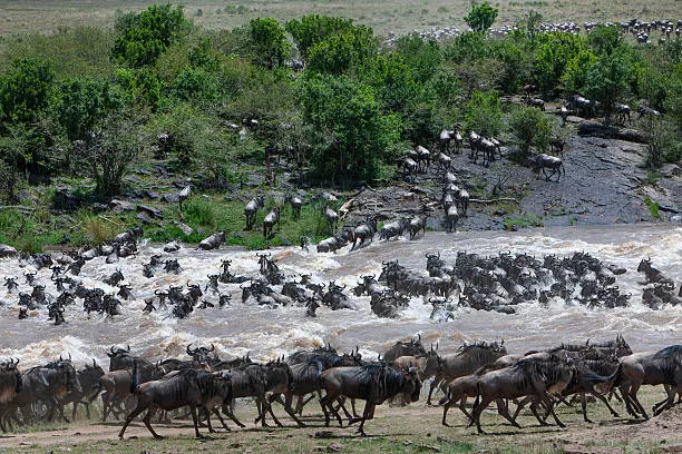 10 Days Tanzania Grand Safari