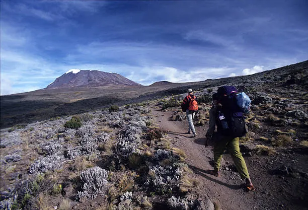 7 Days Machame Route Kilimanjaro Climb
