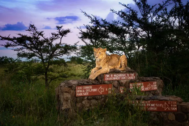 Lake Manyara National Park