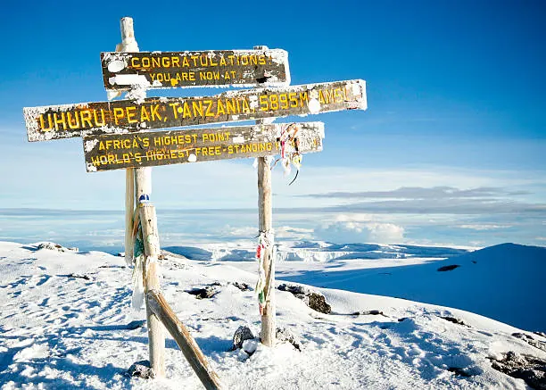 8 Days Lemosho Route Kilimanjaro Climb