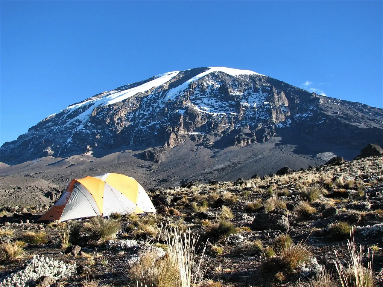 8 Days Tanzania Luxury Migration Safari
