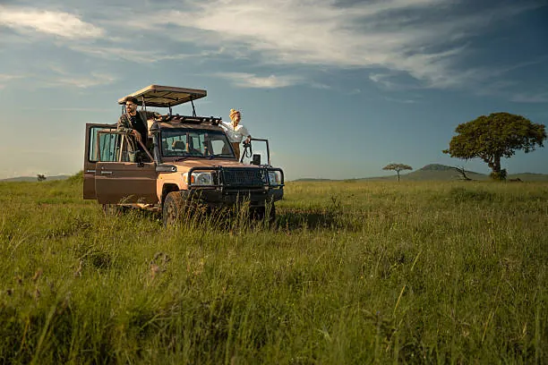 6 Days Tanzania Luxury Safari