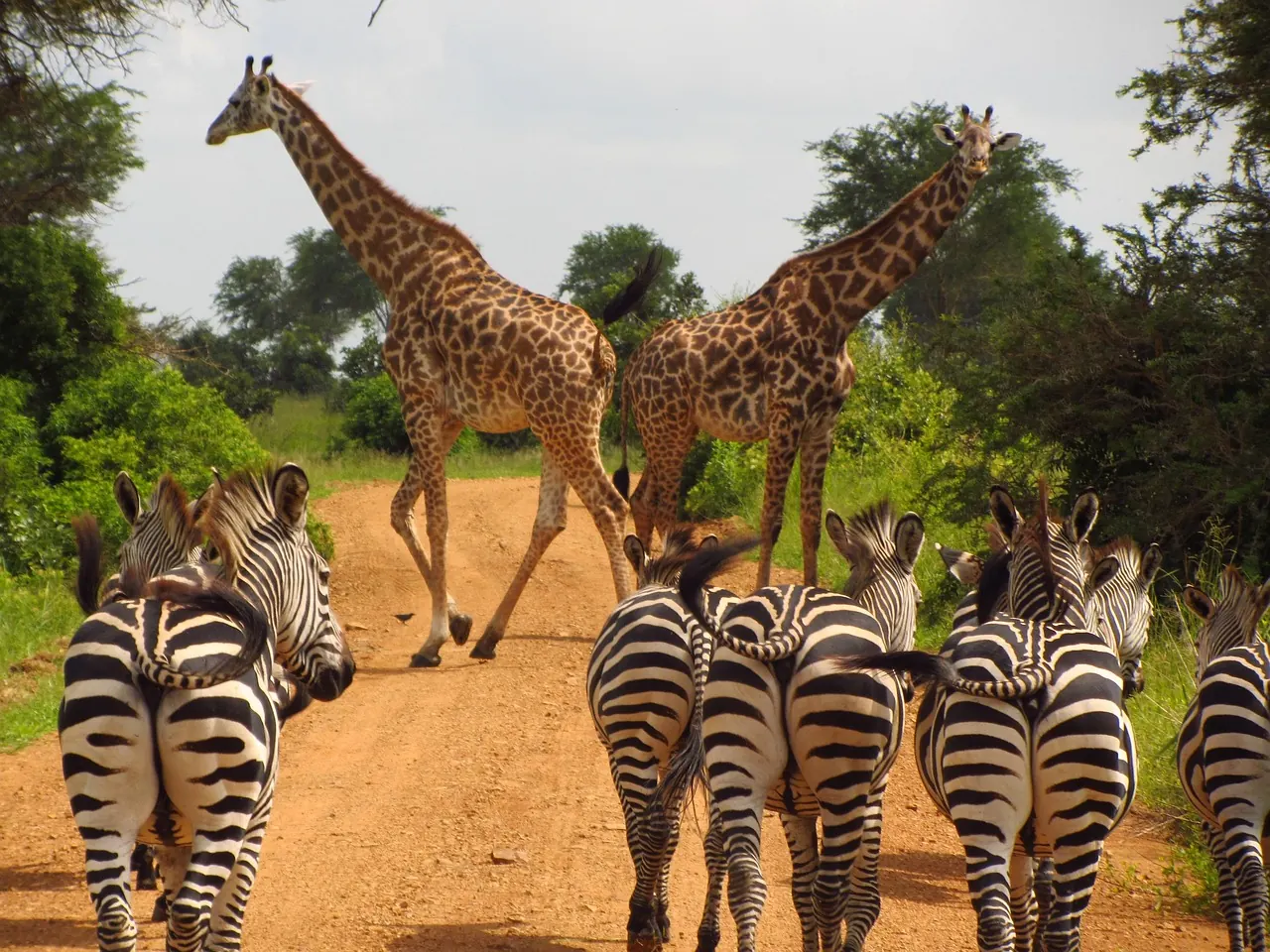 Tanzania Visa and Entry Planning Checklist