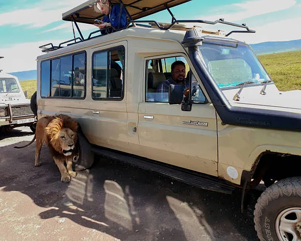 Tanzania Honeymoon Safari Planning Guide