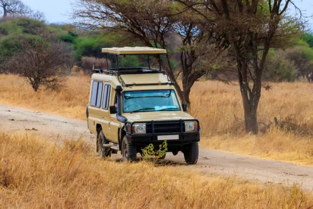 Serengeti National Park Travel Guide