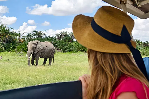 Private vs Group Safari in Tanzania