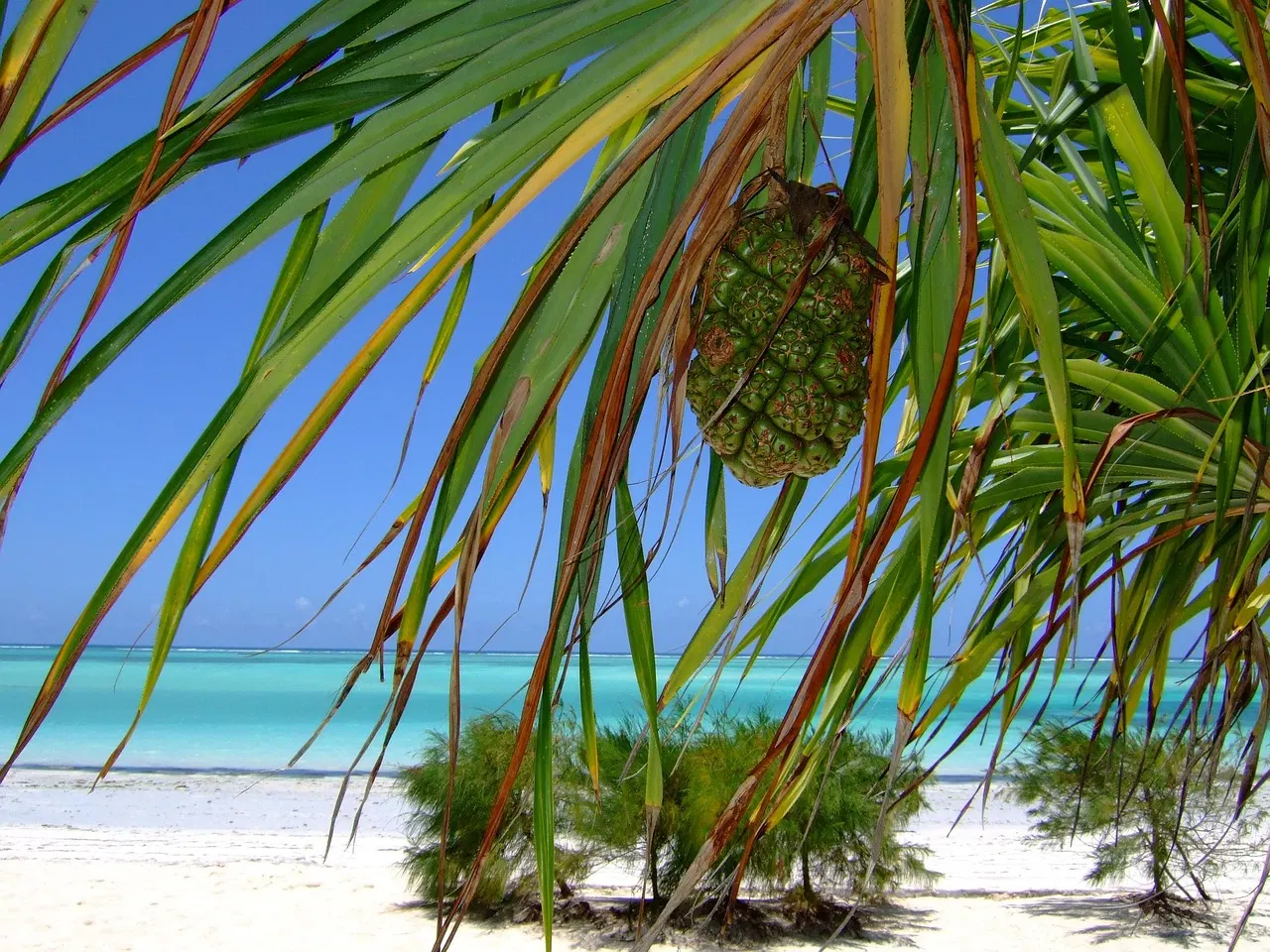 7 Days Zanzibar Beach Holiday
